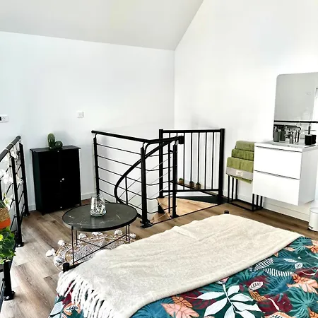 Apartment Superbe Loft - Le Petit Galibot Vimy
